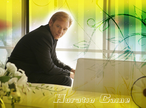  Horatio Caine - David Caruso