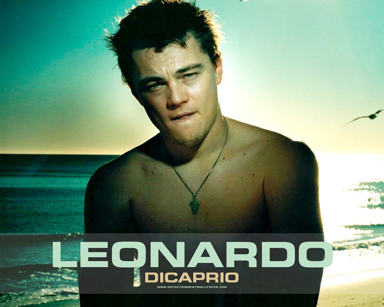 Leonardo DiCaprio - Wallpaper Gallery