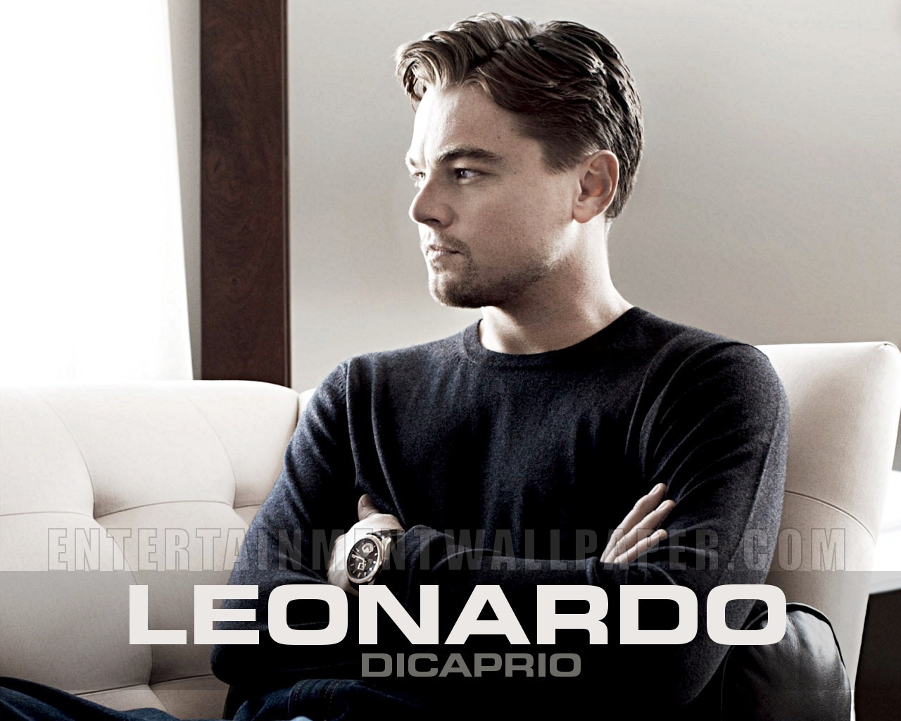 Leonardo Dicaprio - Images