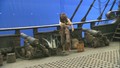 captain-jack-sparrow - POTC AT WORLD'S END screencap