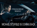 Prison Break - Season 5 - wentworth-miller fan art