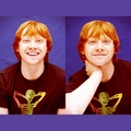 Rupert at Press Conference - harry-potter photo