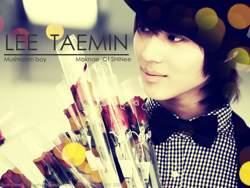 Wallpaper For Rose Day. SHINee Rose Day