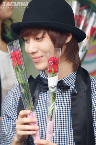 Taemin @ SHINee Rose Day Event