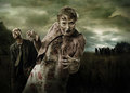 The Walking Dead - the-walking-dead photo