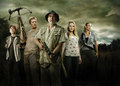 Glenn, Daryl, Dale, Amy & Andrea - the-walking-dead photo