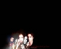 Vampire Diaries <3 - the-vampire-diaries wallpaper
