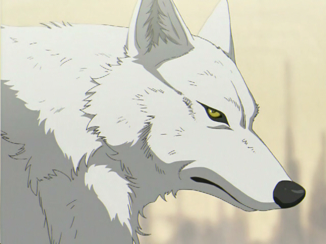 Người sói in anime - Người sói Image (16961910) - fanpop
