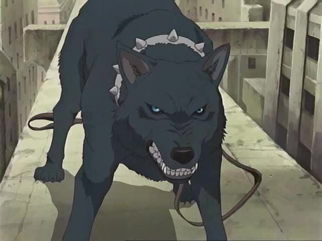 Anime Wolf Man. anime wolf wallpaper.