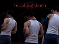 Breaking Dawn  - twilight-series photo