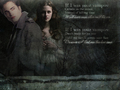 twilight-series - Edward ad Bella wallpaper