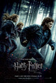 Harry Potter and the Deathly Hallows - harry-potter photo