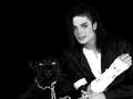 Michael with a panther! - michael-jackson photo