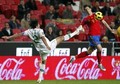 Nando - Spain(0) vs Portugal(4) - fernando-torres photo