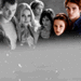 The Cullen's - the-cullens icon