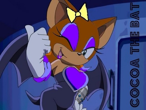 Cocoa in sonic x