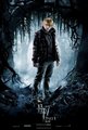 DH Posters - harry-potter photo