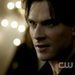 Damon.Rose.08 - the-vampire-diaries icon