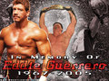 professional-wrestling - Eddie Guerrero wallpaper