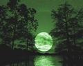 Green Moon - moon photo