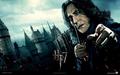 Harry Potter and the Deathly Hallows -Part 1 - alan-rickman photo