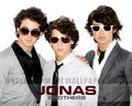 JO BROS!!!!!!! - the-jonas-brothers photo