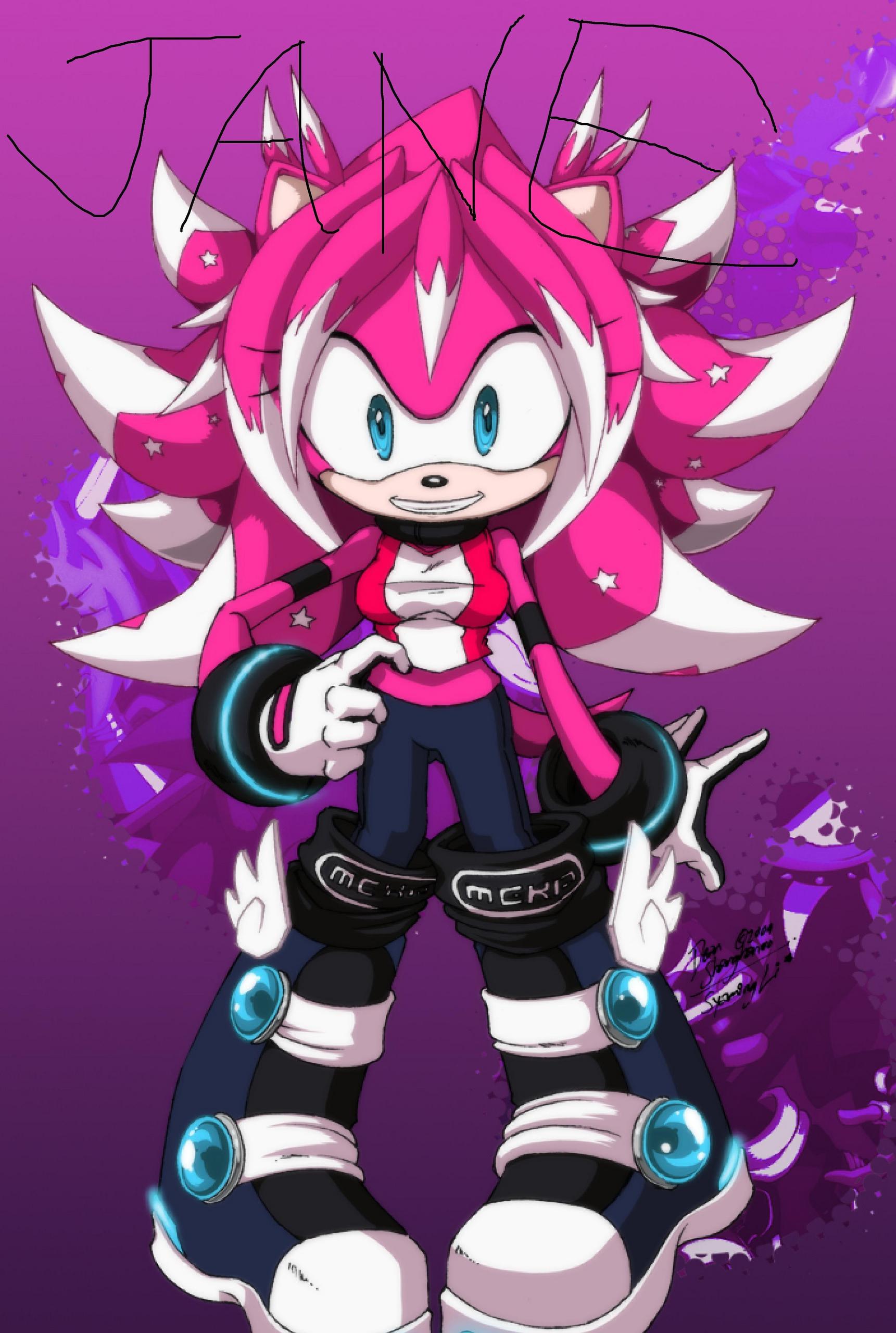 Jane Thehedgehog Sonic Girl Fan Characters Photo 17130734 Fanpop