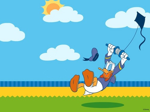  vlieger, kite & Donald eend