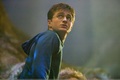 OotP - harry-potter photo