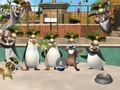 Picture day! - penguins-of-madagascar fan art