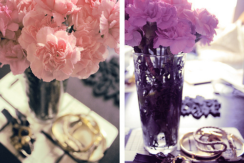  Purple & roze /Sylvie and Princess