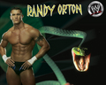 professional-wrestling - Randy Orton wallpaper