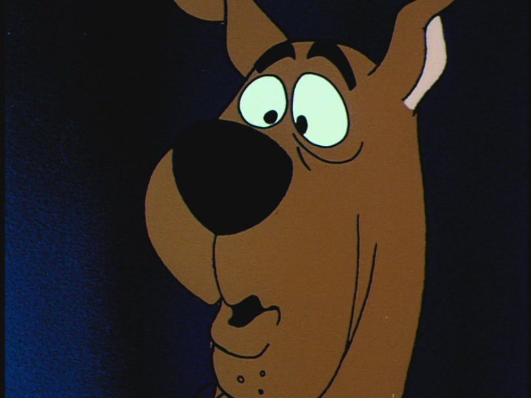 Scooby-Doo Images on Fanpop.