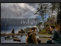 twilight-series - Twilight characters wallpaper
