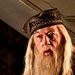 Dumbledore - harry-potter icon