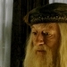 Dumbledore - harry-potter icon