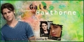 Gale Hawthorne - the-hunger-games fan art