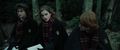 hermione-granger - Hermione - Goblet of Fire  screencap