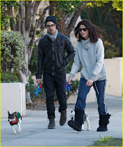  Joe Jonas & Ashley Greene: Dog Walker Duo (November 26)