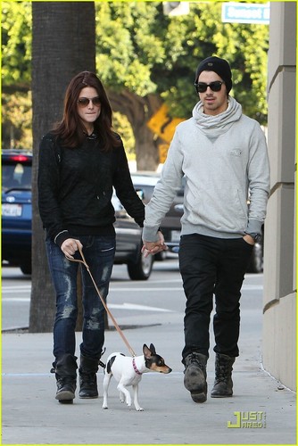 Joe Jonas and Ashley Greene take a walk in Los Angeles (November 24)