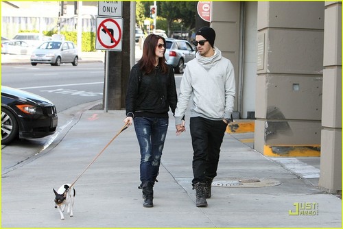 Joe Jonas and Ashley Greene take a walk in Los Angeles (November 24)