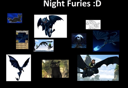  Night Furies :D