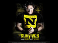 Survivor Series 2010 poster - wwe wallpaper