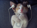 iPods - music photo