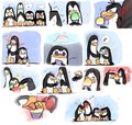 omg sory K - penguins-of-madagascar fan art