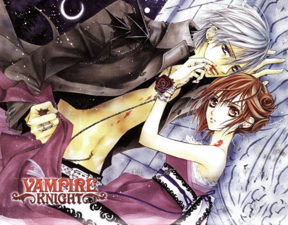 yuuki & zero_vampire knight