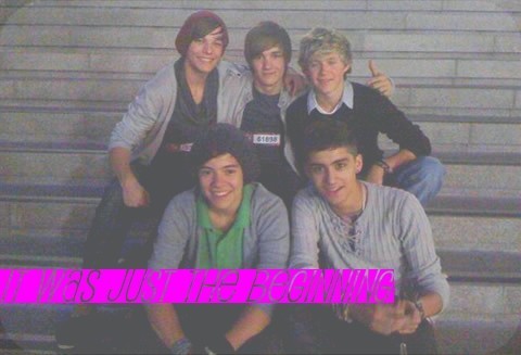  1 Direction It Ws Just The Beginning :) x