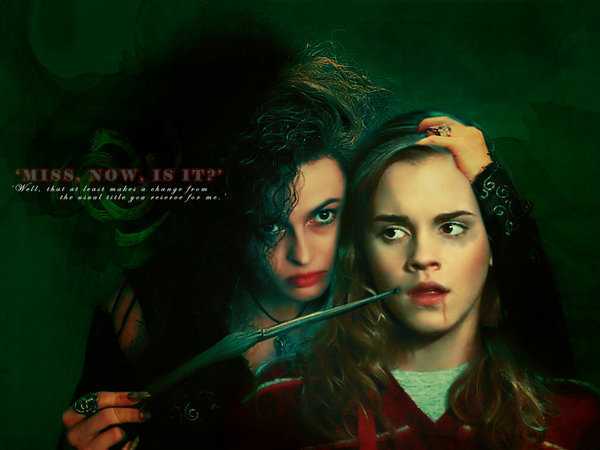 Bellatrix and Hermione Images on Fanpop.