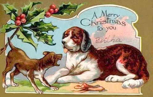  Christmas chiens