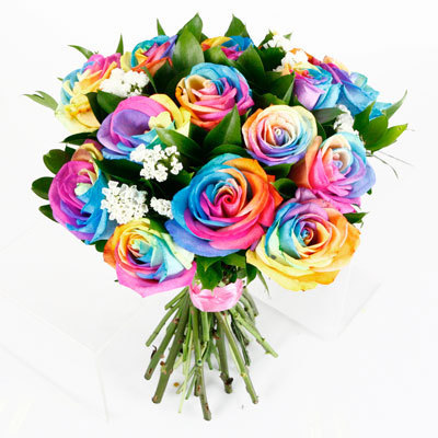  Colourful mga rosas